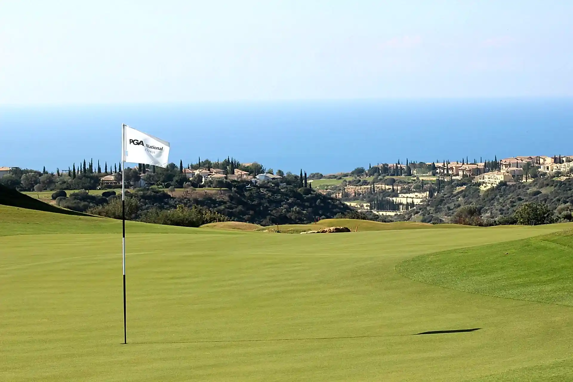 offer featured image