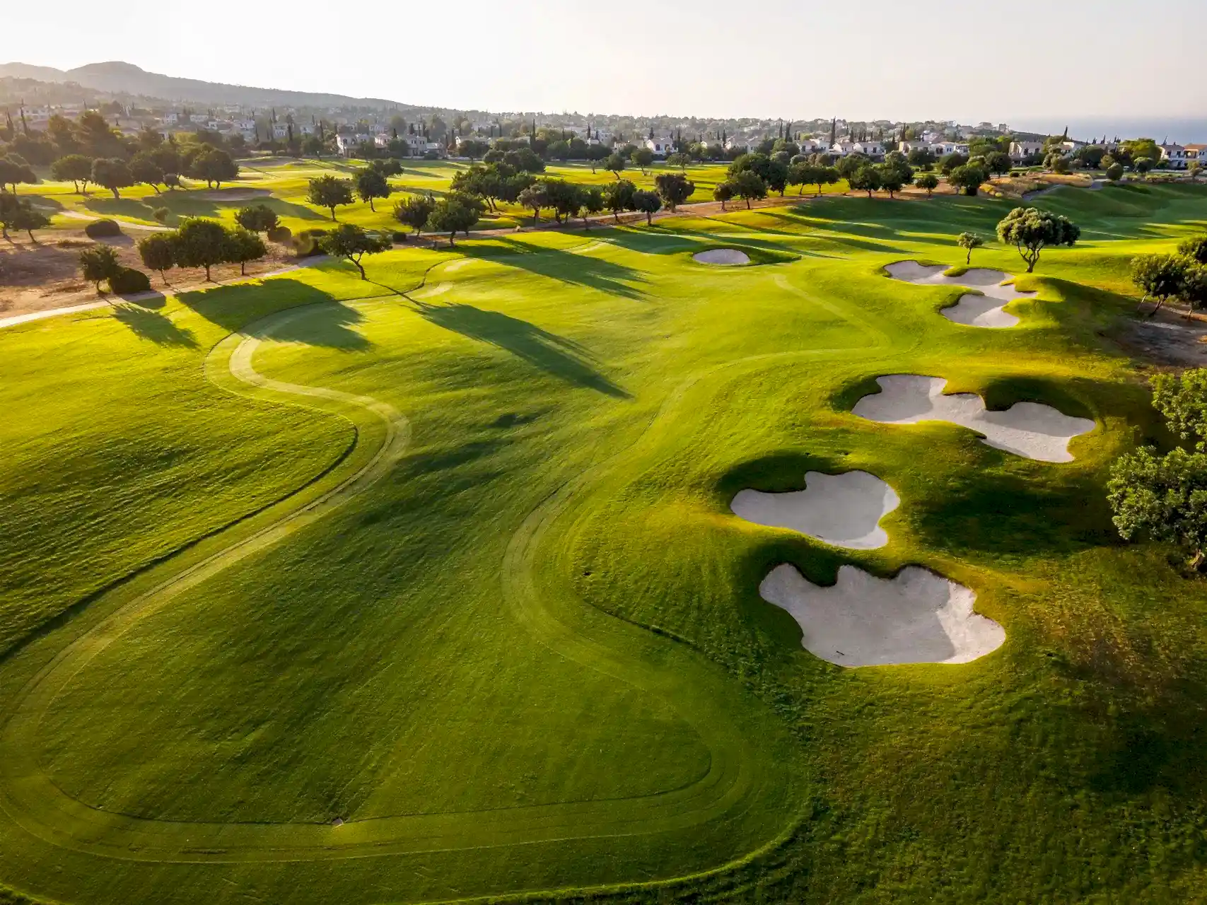 offer featured image